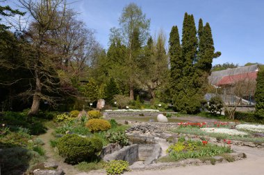 Eski sonbahar ormanı, genel manzara