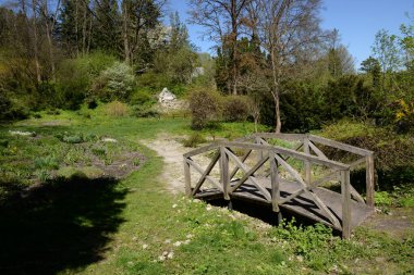 Eski sonbahar ormanı, genel manzara