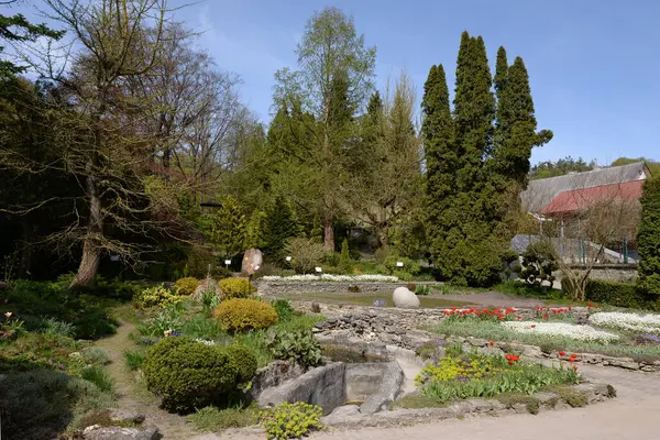 Eski sonbahar ormanı, genel manzara