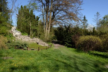 Eski sonbahar ormanı, genel manzara