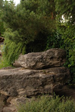 Göletin üzerine park et.