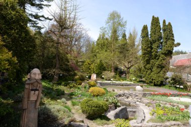 Eski sonbahar ormanı, genel manzara