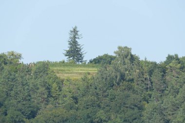 Sessiz köşe güzel doğa