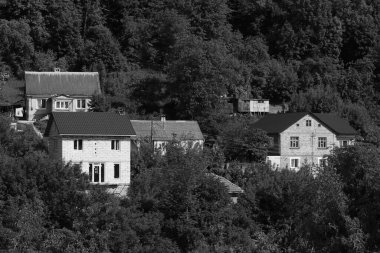 Ukrayna köyündeki ahşap ev. Ormanın kıyısındaki köy.