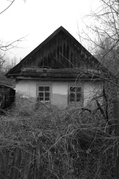 Wooden house in the Ukrainian village.Village on the edge of the forest