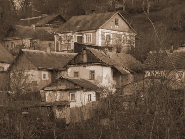 Ukrayna köyündeki ahşap ev. Ormanın kıyısındaki köy.           