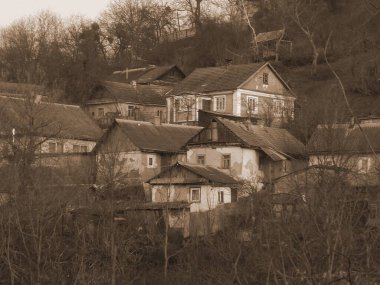 Ukrayna köyündeki ahşap ev. Ormanın kıyısındaki köy.           