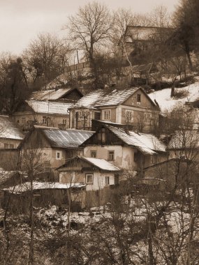 Ukrayna köyündeki ahşap ev. Ormanın kıyısındaki köy.  