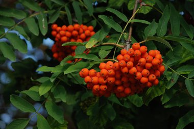 Castle Hill 'in genel manzarası