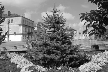 Old city street.The historic part of the old town.A small street of the old town.New square of the old town