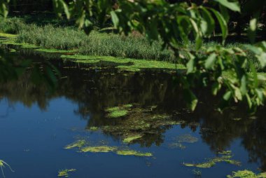 Ikva Nehri, Styr 'ın (Dinyeper Havzası) sağ koludur.)
