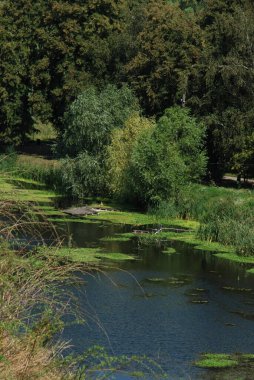 Ikva Nehri, Styr 'ın (Dinyeper Havzası) sağ koludur.)