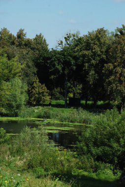 Ikva Nehri, Styr 'ın (Dinyeper Havzası) sağ koludur.)