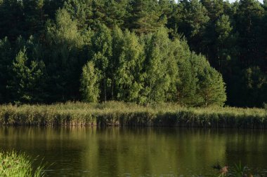Ikva Nehri, Styr 'ın (Dinyeper Havzası) sağ koludur.)