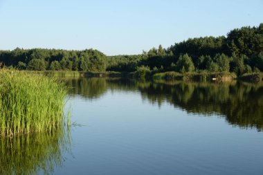 Ikva Nehri, Styr 'ın (Dinyeper Havzası) sağ koludur.)