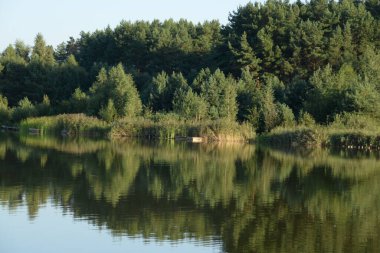 Ikva Nehri, Styr 'ın (Dinyeper Havzası) sağ koludur.)