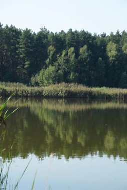 Ikva Nehri, Styr 'ın (Dinyeper Havzası) sağ koludur.)