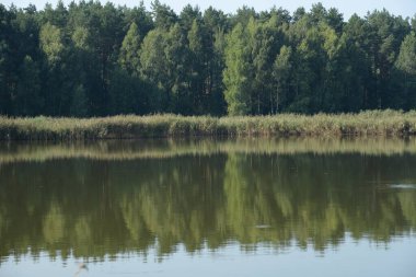 Ikva Nehri, Styr 'ın (Dinyeper Havzası) sağ koludur.)