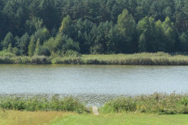 Ikva Nehri, Styr 'ın (Dinyeper Havzası) sağ koludur.)