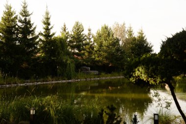 Göletin üzerine park et.