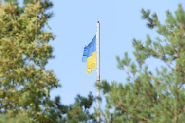 Ukrayna devlet sarı ve mavi bayrak