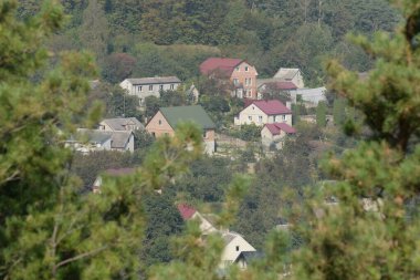 Ukrayna köyündeki ahşap ev. Ormanın kıyısındaki köy. 