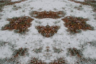 Fallen leaves on the snow clipart