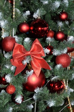 Merkez meydandaki Noel Ağacı