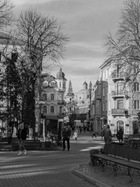 Eski kasabada Noel ağacı. Noel ağacı, eski kasaba.  