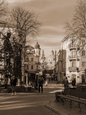 Eski kasabada Noel ağacı. Noel ağacı, eski kasaba.  