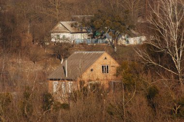 Wooden house in the Ukrainian village.Village on the edge of the forest  clipart