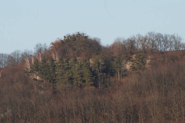 Rocky Dağları 'nın genel manzarası