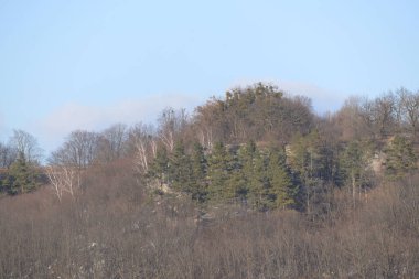 Rocky Dağları 'nın genel manzarası