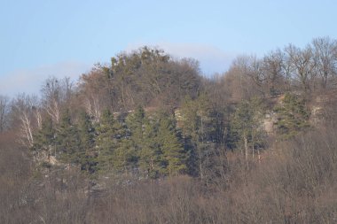 Rocky Dağları 'nın genel manzarası
