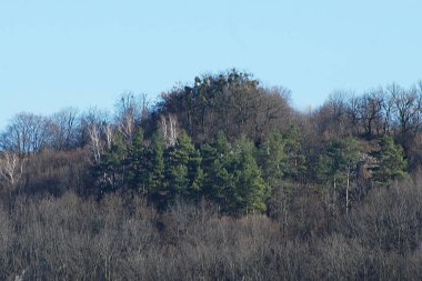 Rocky Dağları 'nın genel manzarası