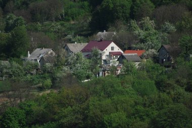 Ukrayna köyündeki ahşap ev. Ormanın kıyısındaki köy. Eski harap ev 