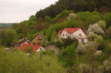 Ukrayna köyündeki ahşap ev. Ormanın kıyısındaki köy. Eski harap ev 