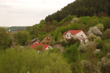 Ukrayna köyündeki ahşap ev. Ormanın kıyısındaki köy. Eski harap ev 