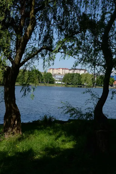 Gölün kıyısındaki şehir