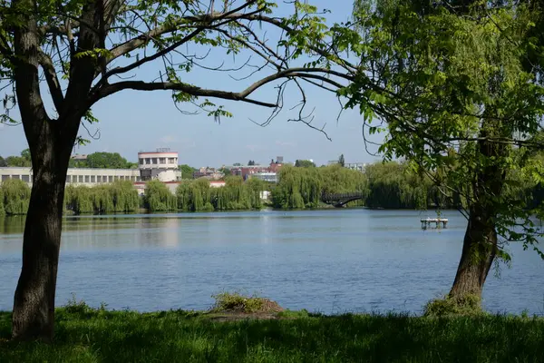 Gölün kıyısındaki şehir