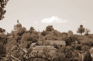 Meryem 'in Doğumu Kilisesi (Tunytska). Köyün kıyısındaki Antik Ortodoks Kilisesi. Ukrayna köyündeki ahşap ev. Ormanın kıyısındaki köy.