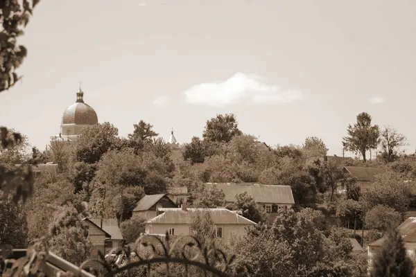 Meryem 'in Doğumu Kilisesi (Tunytska). Köyün kıyısındaki Antik Ortodoks Kilisesi. Ukrayna köyündeki ahşap ev. Ormanın kıyısındaki köy.
