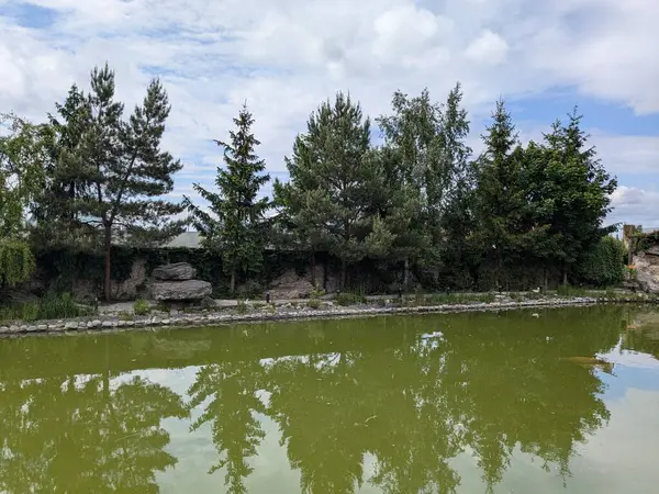 Göletin üzerine park et.