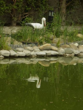 Göletin üzerine park et.          