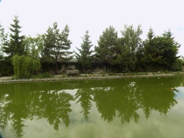 Göletin üzerine park et.          