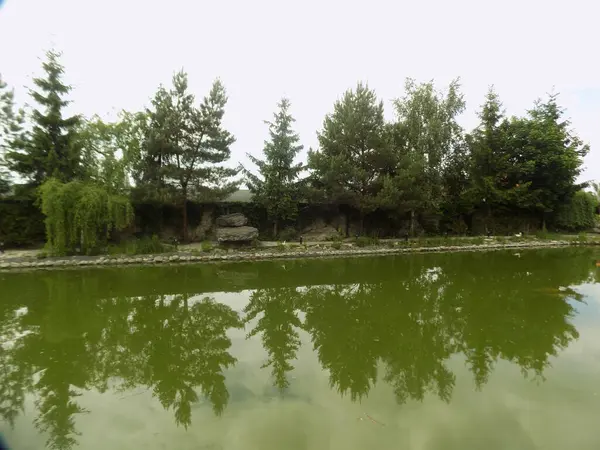 Göletin üzerine park et.          