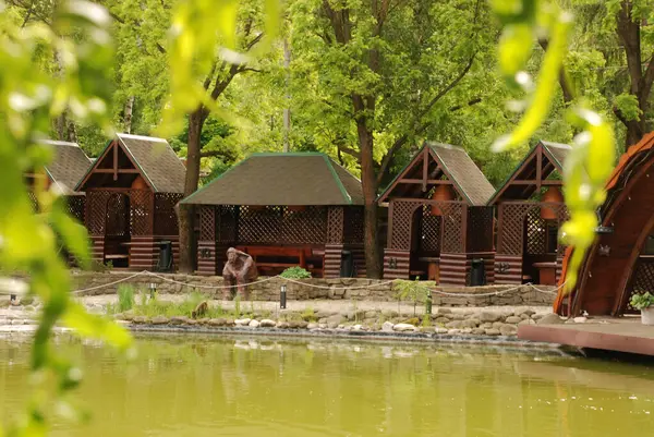 Göletin üzerine park et.