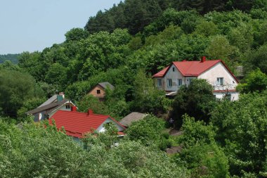 Ukrayna köyündeki ahşap ev. Ormanın kıyısındaki köy. Eski harap ev 