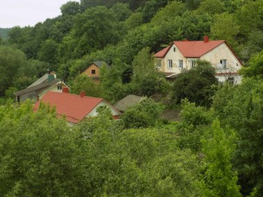 Ukrayna köyündeki ahşap ev. Ormanın kıyısındaki köy. Eski harap ev           