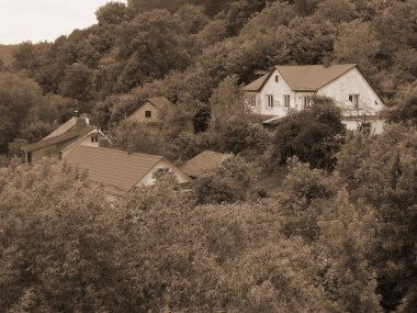 Ukrayna köyündeki ahşap ev. Ormanın kıyısındaki köy. Eski harap ev            